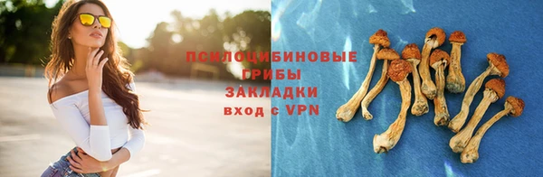 прущие грибы Володарск