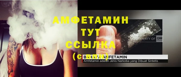 прущие грибы Володарск