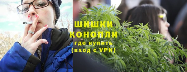 прущие грибы Володарск