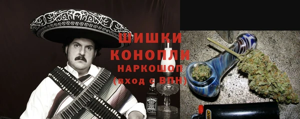 прущие грибы Володарск